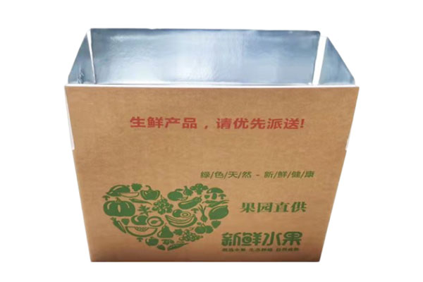 Cold Chain Food Insulation Box